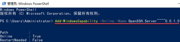 Windows Server 2019安裝OpenSSH Server簡(jiǎn)明教程