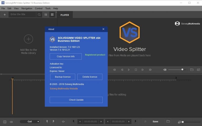 SolveigMM Video Splitter Business