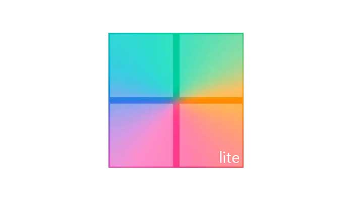 Windows 11 Pro Lite